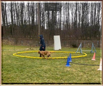 273061417_685517839483750_2532068054725455202_n