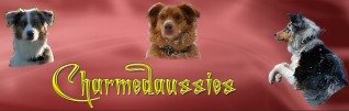Charmedaussies-1