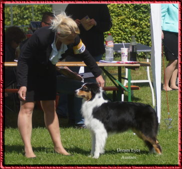 DSC00598