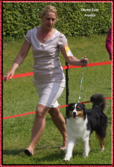 DSC01617