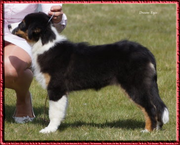 DSC09660