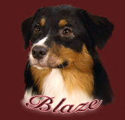 blazekopf2(1)