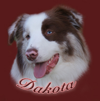 dakota