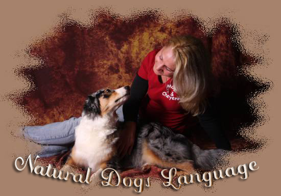 Herzlich willkommen bei Funny Dogz