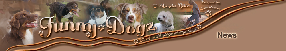 hundeschule funny-dogz