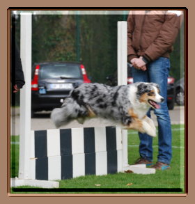obi 11.04.2010 013