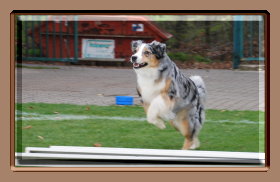 obi 11.04.2010 018