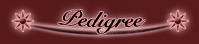 pedigree