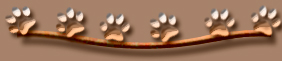pfote5