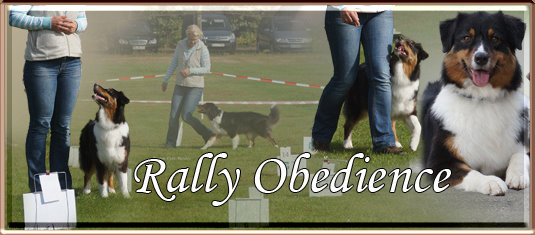rally_obedience