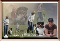 rally_obedience2