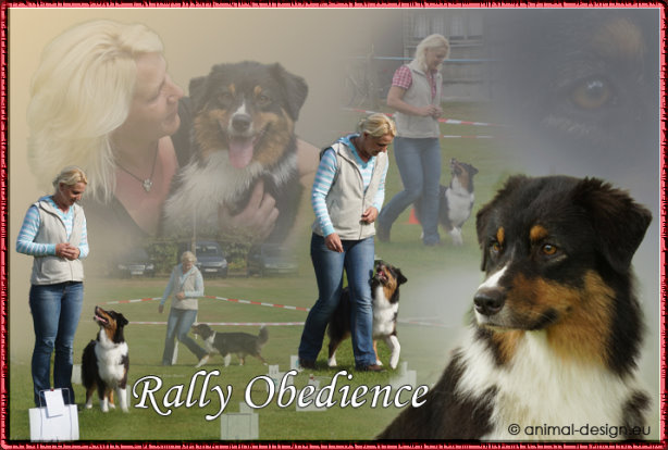 rally_obedience3