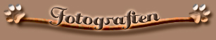 u-fotografien