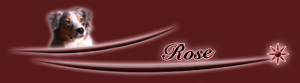 u-rose