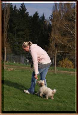 welpen 8