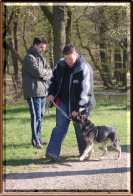 welpen paul